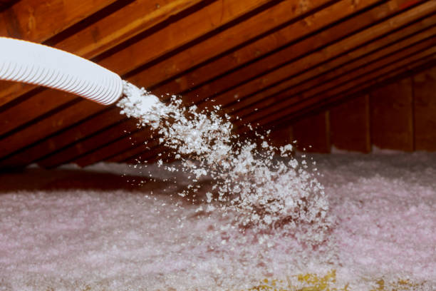 Best Types of Insulation in Sawgrass, FL