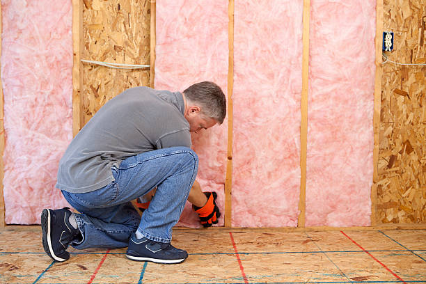Best Insulation Installation Services in Sawgrass, FL